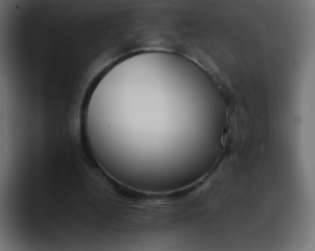 X0000092100344200710031216