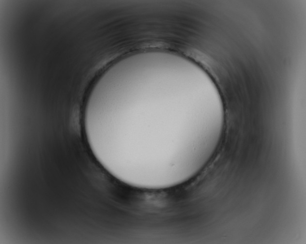 X0000092100345200710031216