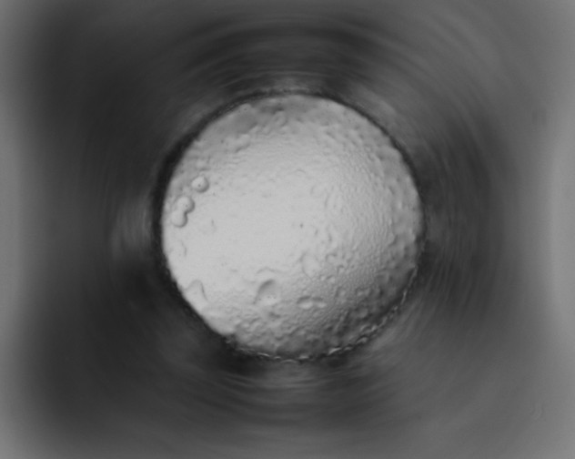 X0000092100347200710031216