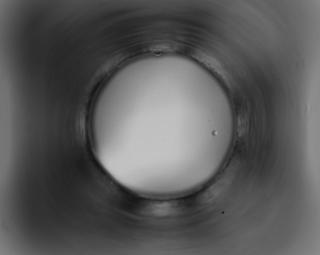 X0000092100349200710031216