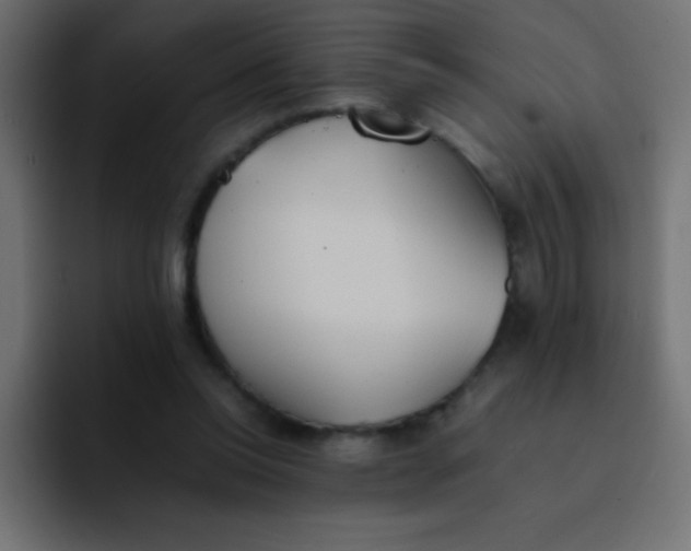 X0000092100350200710031216