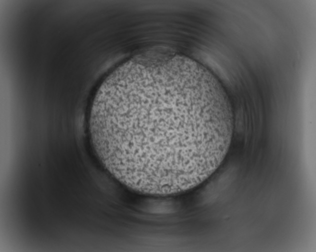 X0000092100351200710031216