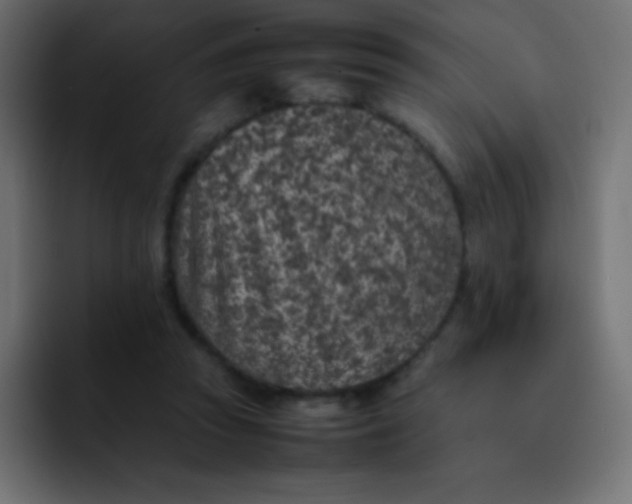 X0000092100353200710031216