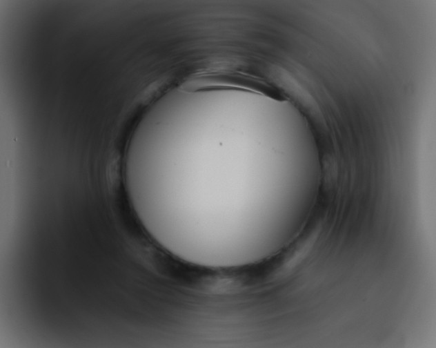 X0000092100356200710031216