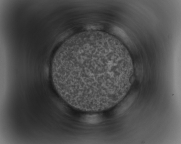 X0000092100357200710031216