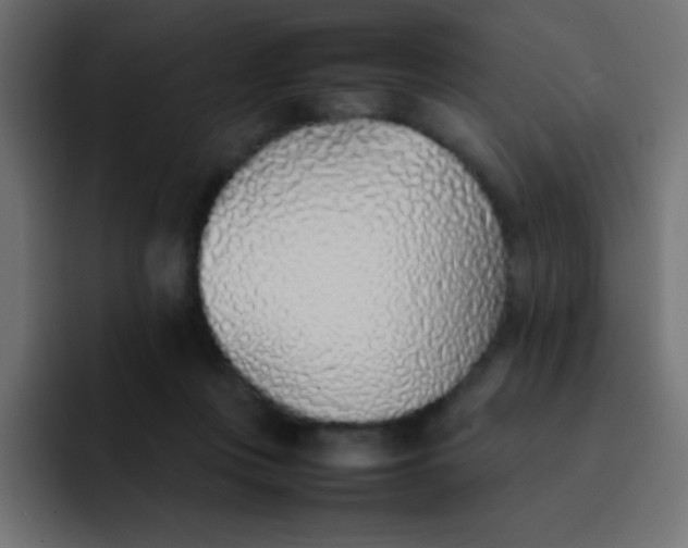 X0000092100359200710031216