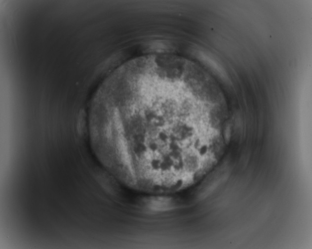 X0000092100361200710031216