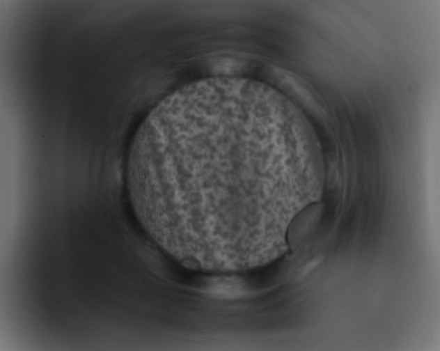 X0000092100363200710031216