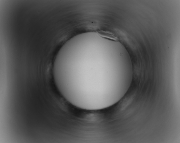 X0000092100364200710031216