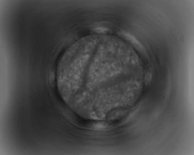 X0000092100365200710031216