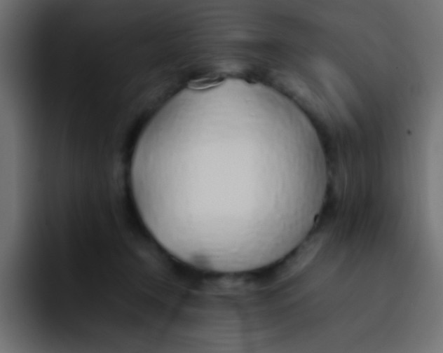 X0000092100366200710031216