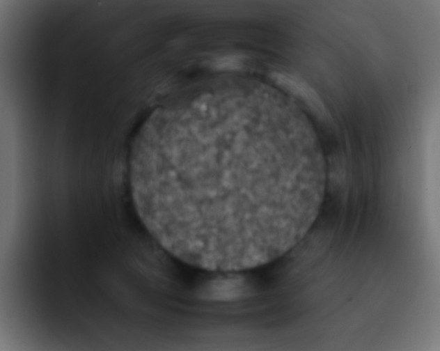 X0000092100369200710031216