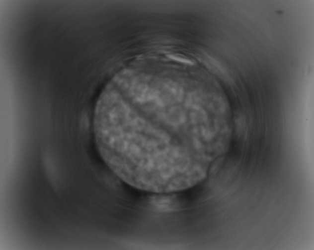 X0000092100373200710031216