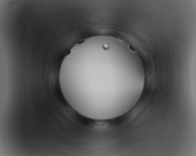 X0000092100376200710031216