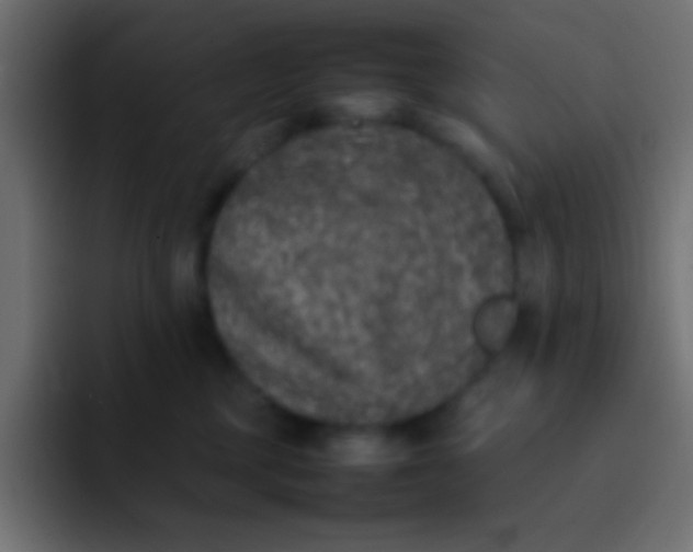 X0000092100377200710031216