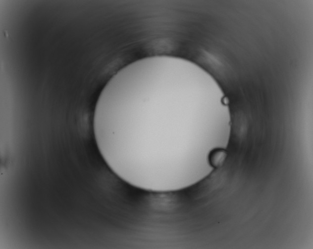 X0000092100378200710031216