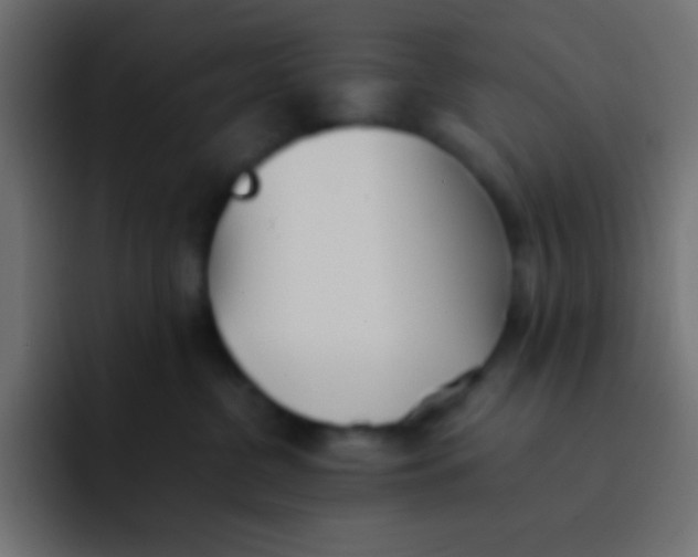 X0000092100380200710031216