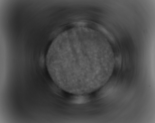 X0000092100381200710031217