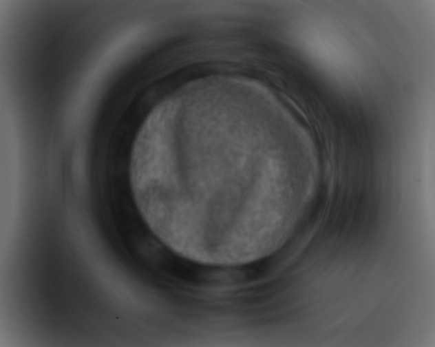 X0000092100383200710031217