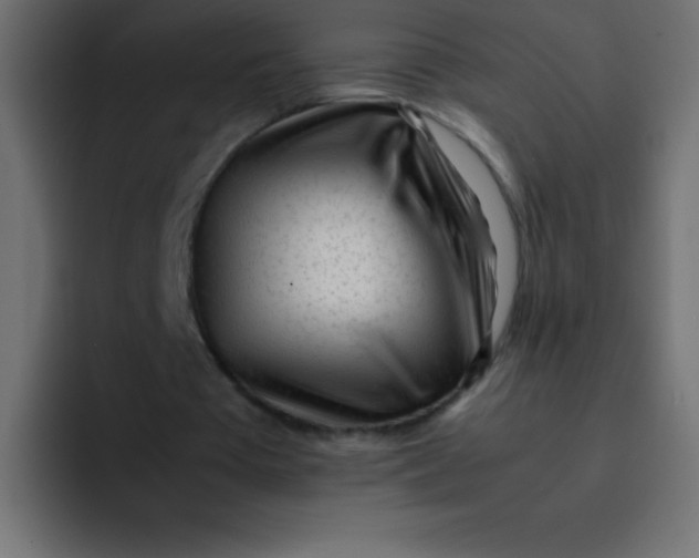 X0000092100385200710031216