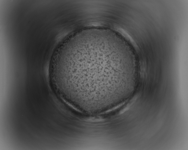 X0000092100386200710031216