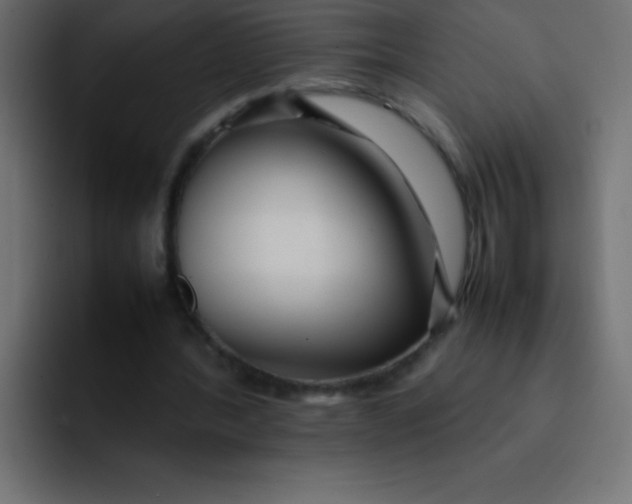 X0000092100388200710031216