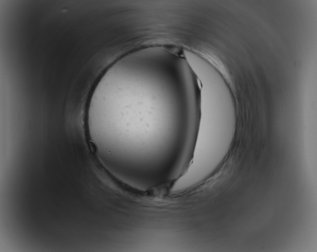 X0000092100389200710031216