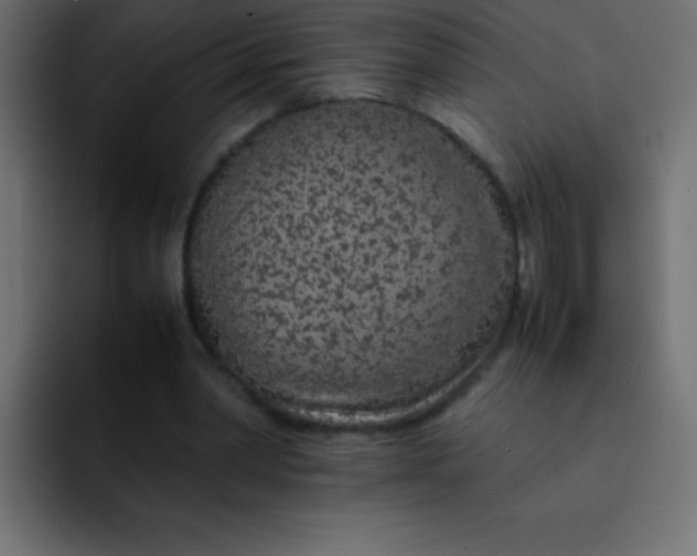 X0000092100390200710031216