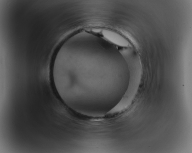 X0000092100391200710031216