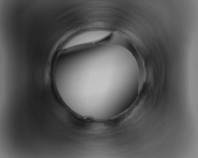 X0000092100392200710031216