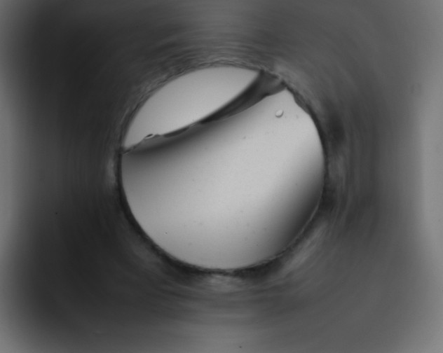 X0000092100393200710031216