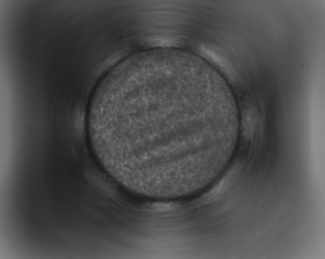 X0000092100394200710031216