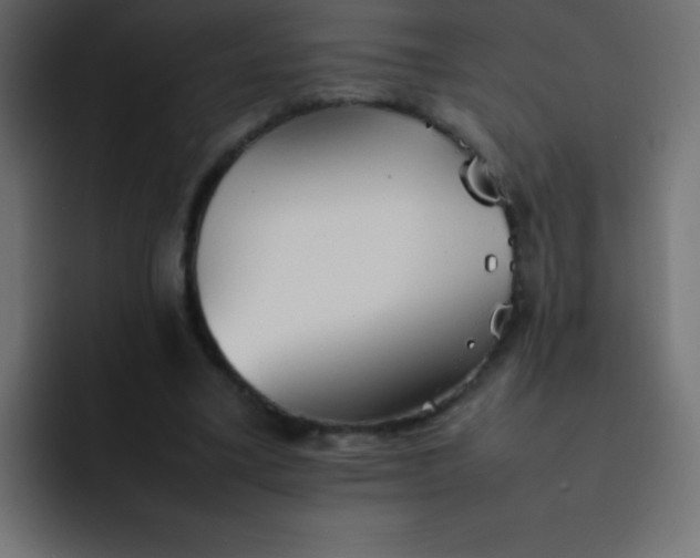 X0000092100395200710031216