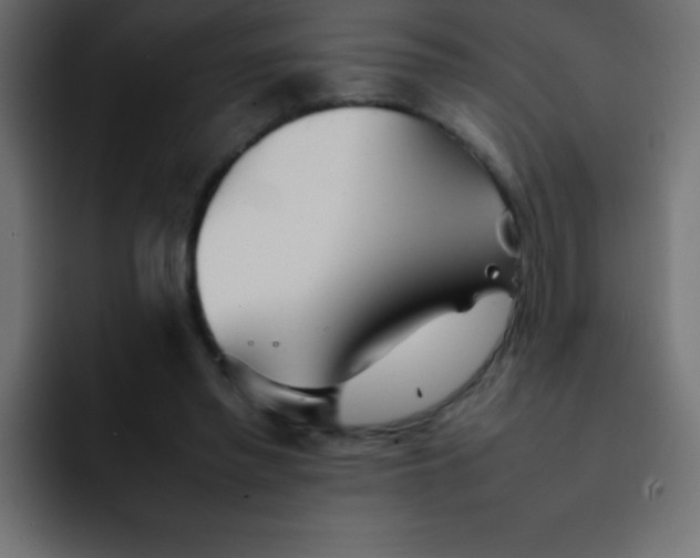 X0000092100397200710031216