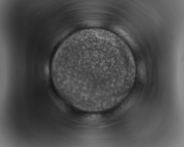 X0000092100398200710031216