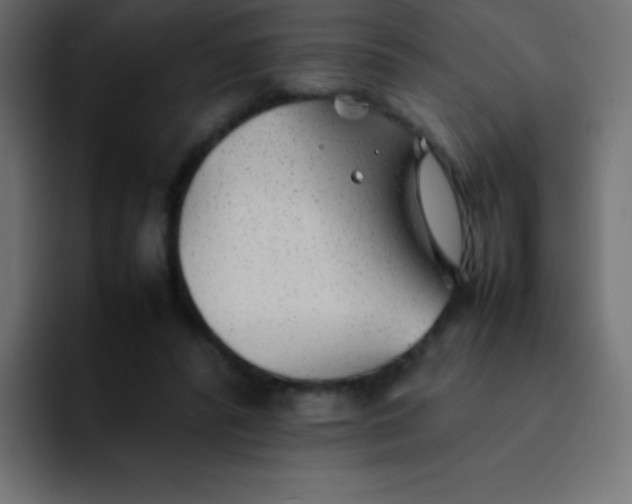 X0000092100400200710031216