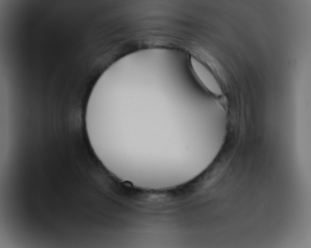 X0000092100401200710031216