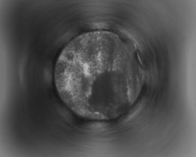 X0000092100402200710031216