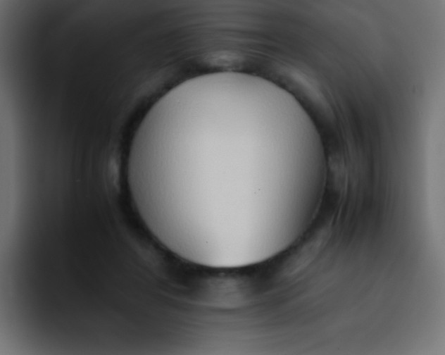 X0000092100404200710031216