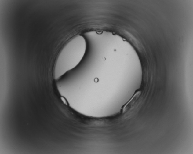 X0000092100405200710031216