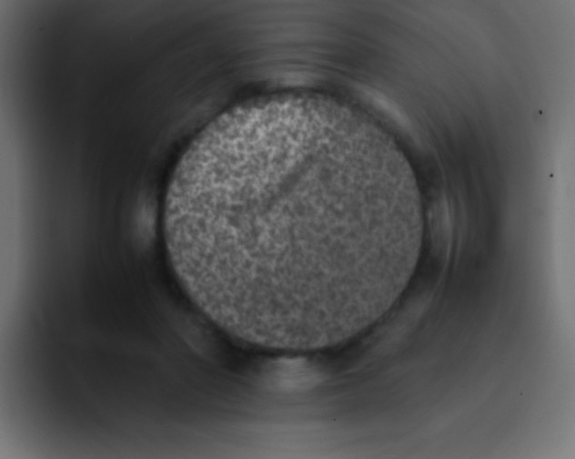 X0000092100406200710031216