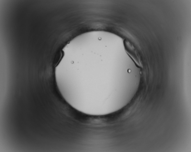 X0000092100407200710031216