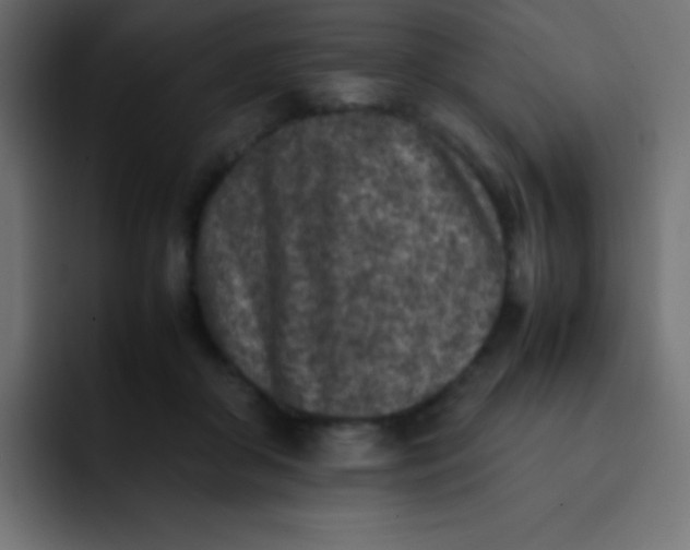 X0000092100410200710031216