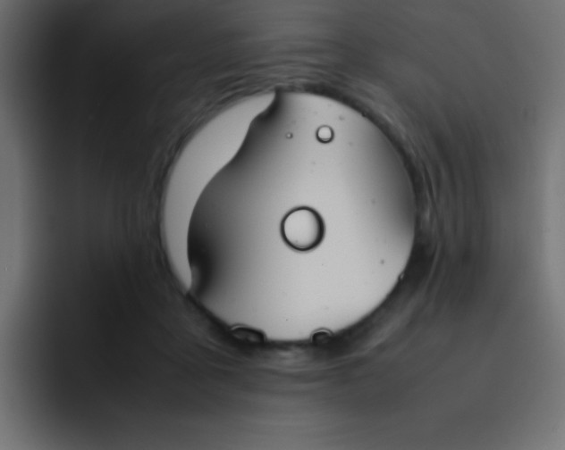 X0000092100411200710031216