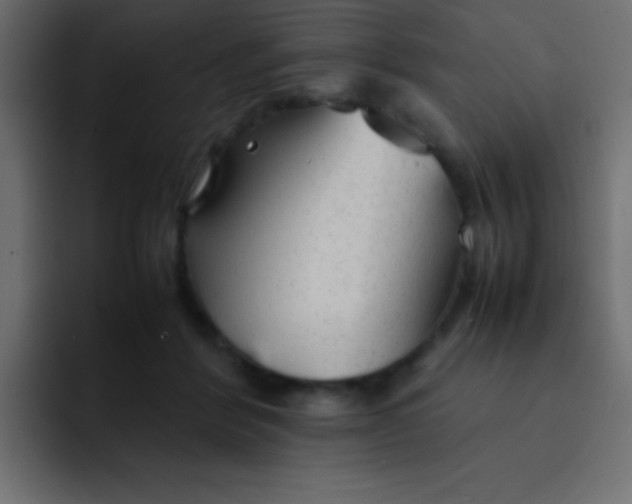 X0000092100412200710031216