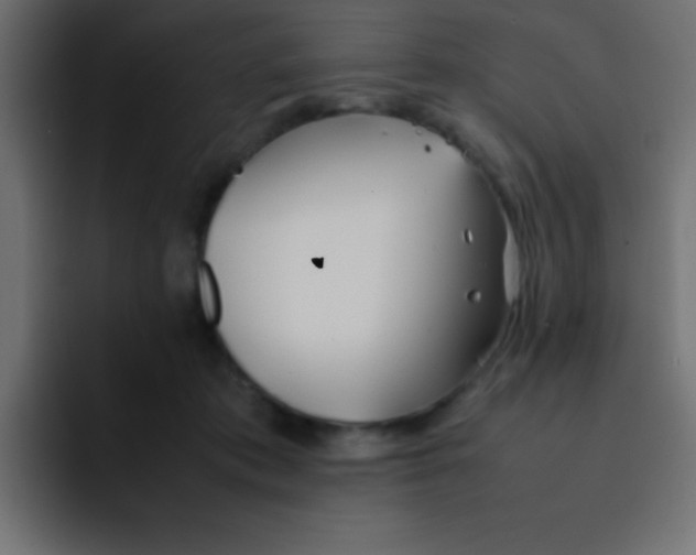 X0000092100413200710031216