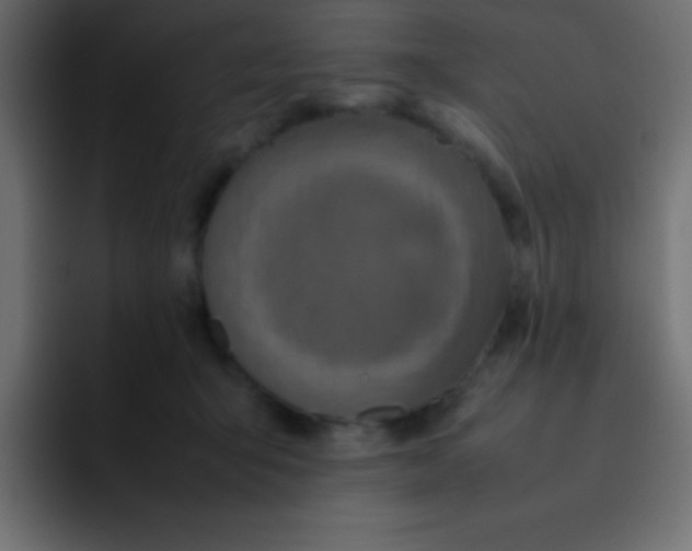 X0000092100415200710031216