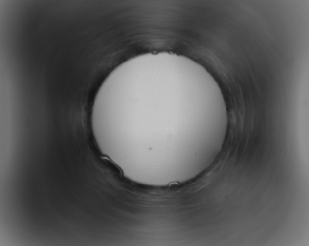 X0000092100416200710031216