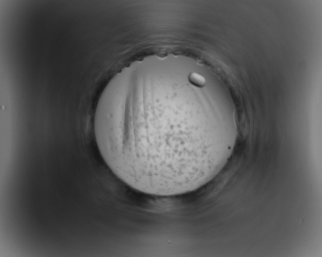 X0000092100417200710031216