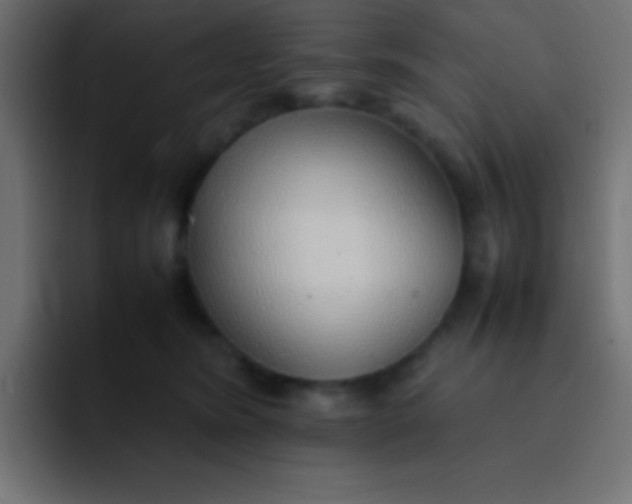 X0000092100420200710031216